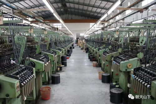 南安青年商會開展 交流活動